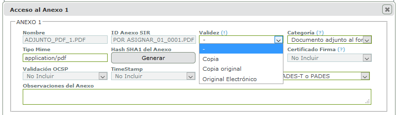 Pantalla información anexo