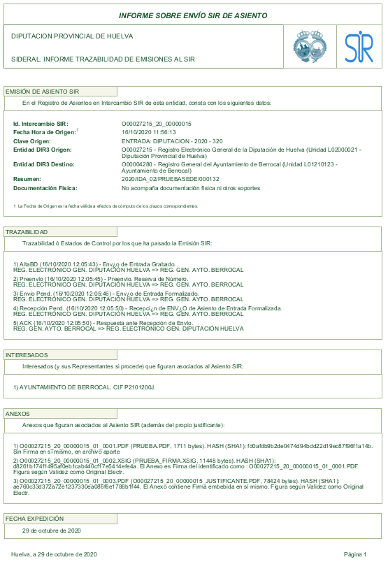 Pantalla informe pdf