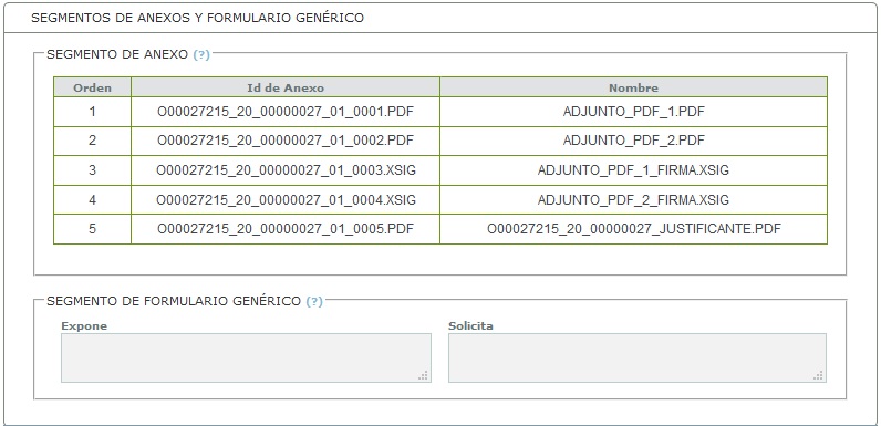 Pestaña Anexos - Registro Salida