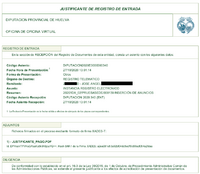 RegistroEntrada_JustificantePDF.png