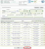 figura6.png